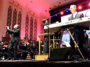 RLPO17